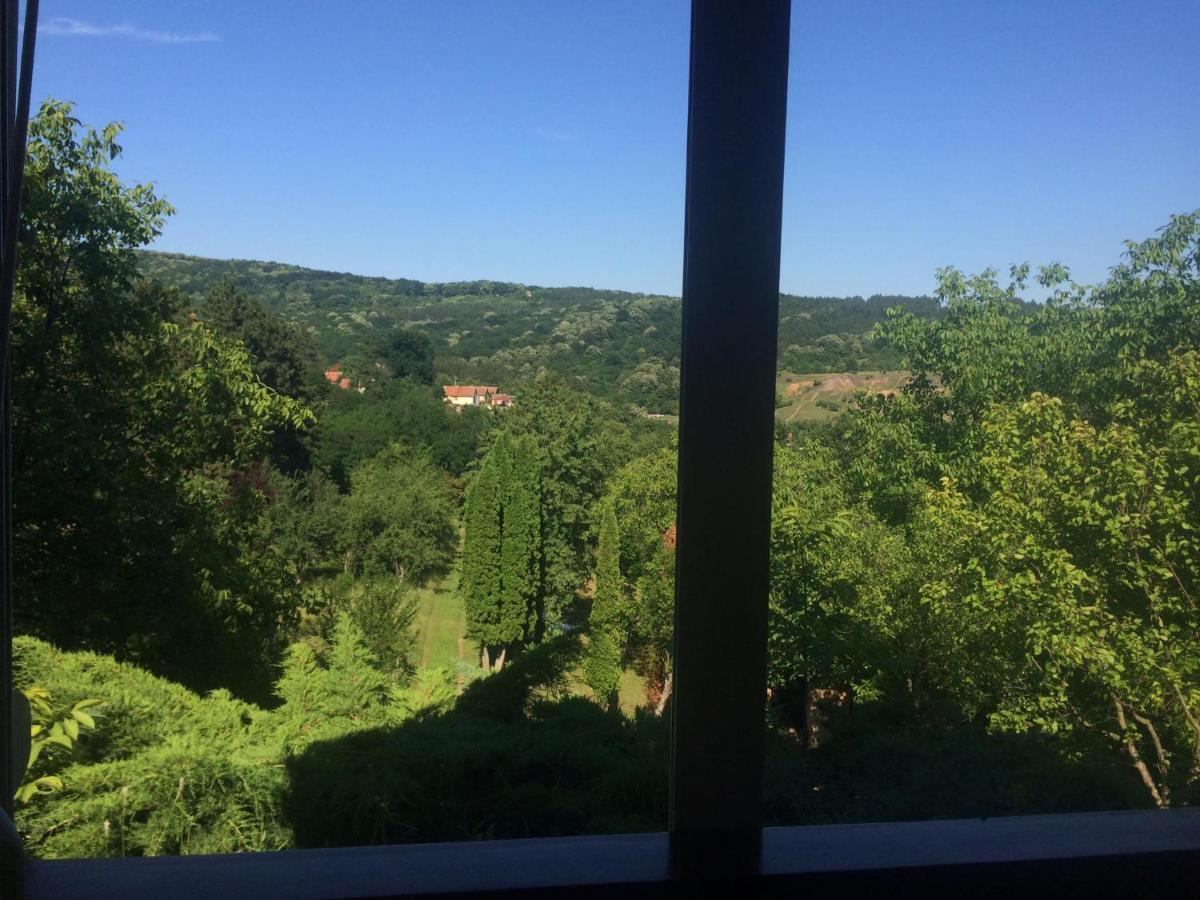 Holiday Home Nanin Konak 2 Vrdnik Εξωτερικό φωτογραφία