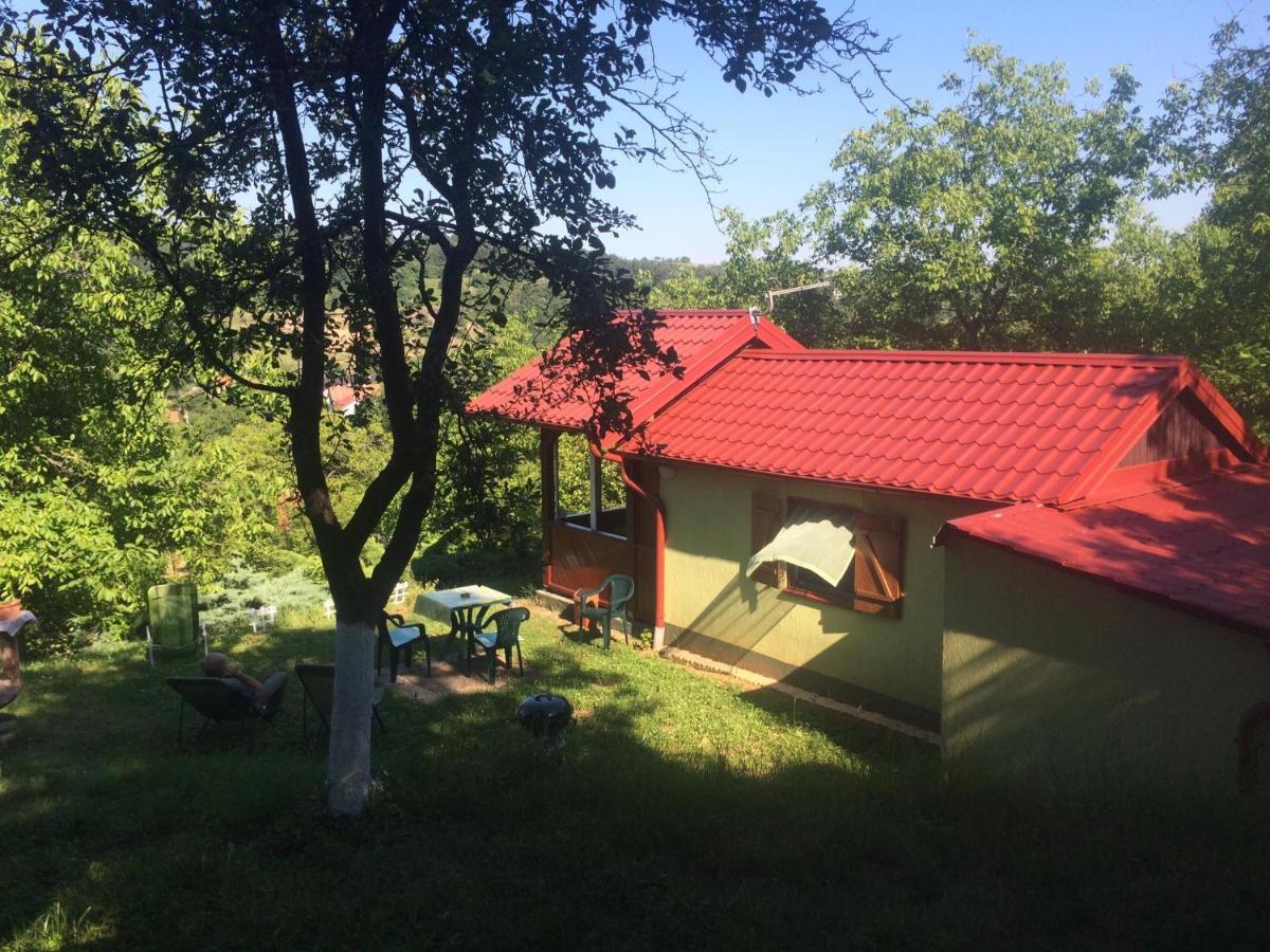 Holiday Home Nanin Konak 2 Vrdnik Εξωτερικό φωτογραφία