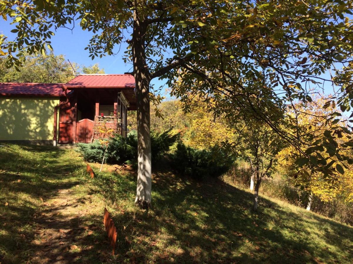 Holiday Home Nanin Konak 2 Vrdnik Εξωτερικό φωτογραφία