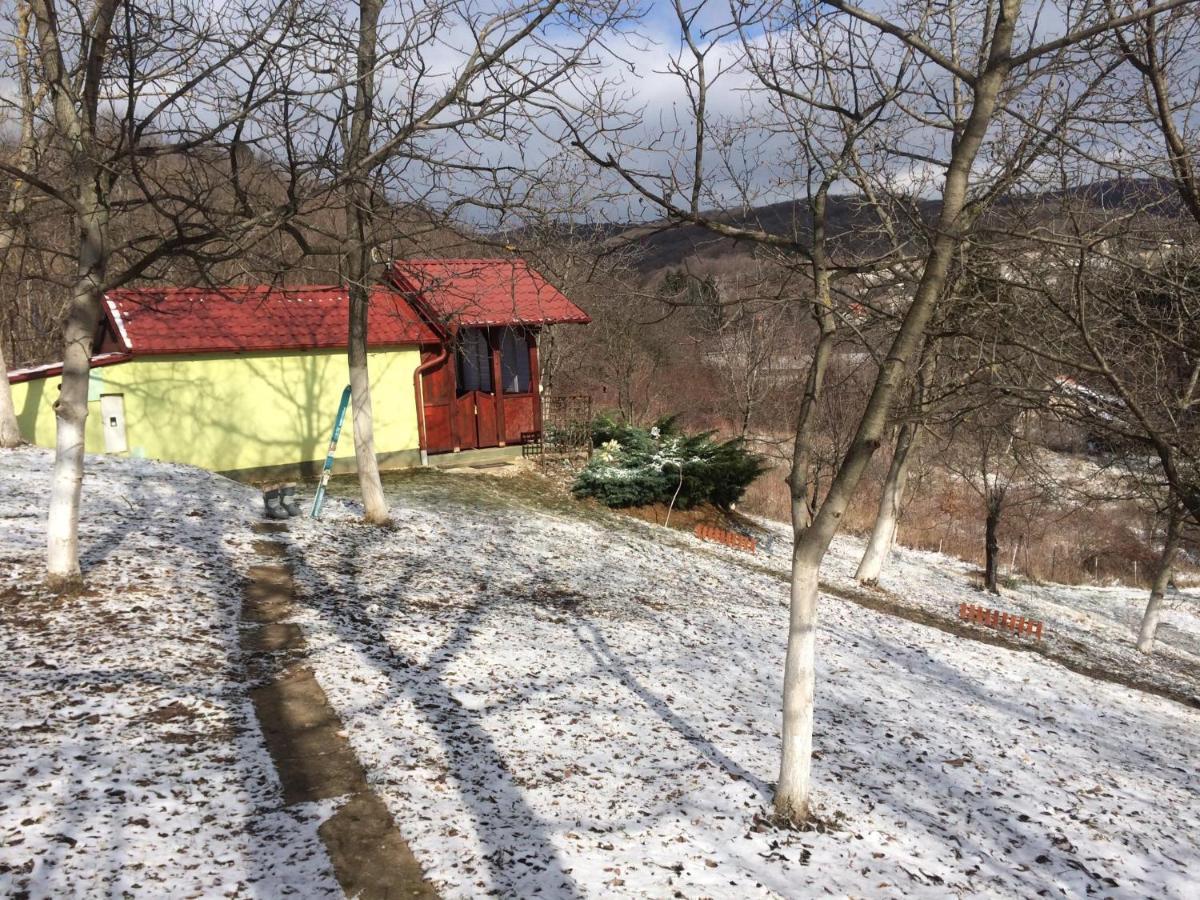 Holiday Home Nanin Konak 2 Vrdnik Εξωτερικό φωτογραφία