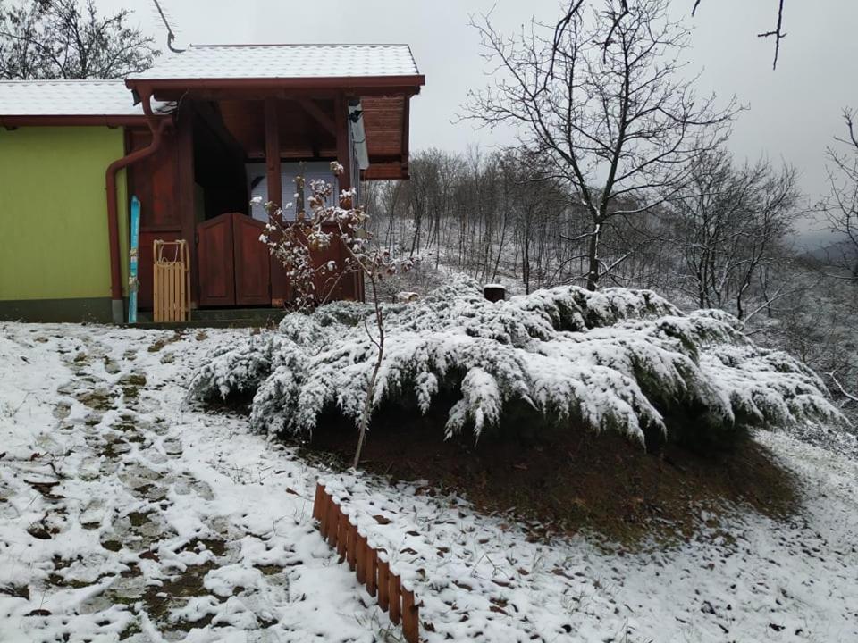 Holiday Home Nanin Konak 2 Vrdnik Εξωτερικό φωτογραφία