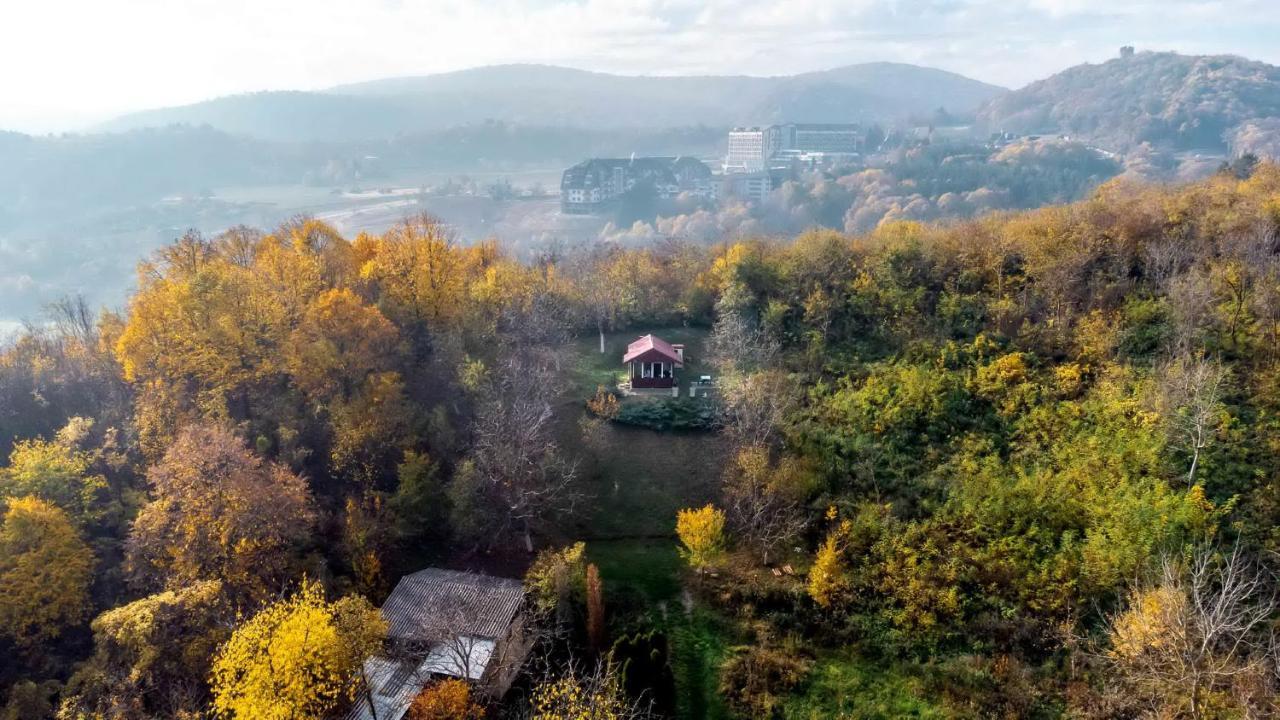 Holiday Home Nanin Konak 2 Vrdnik Εξωτερικό φωτογραφία
