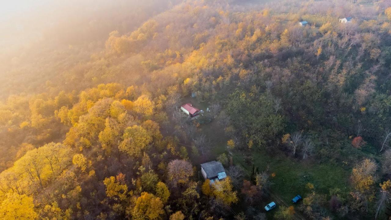 Holiday Home Nanin Konak 2 Vrdnik Εξωτερικό φωτογραφία