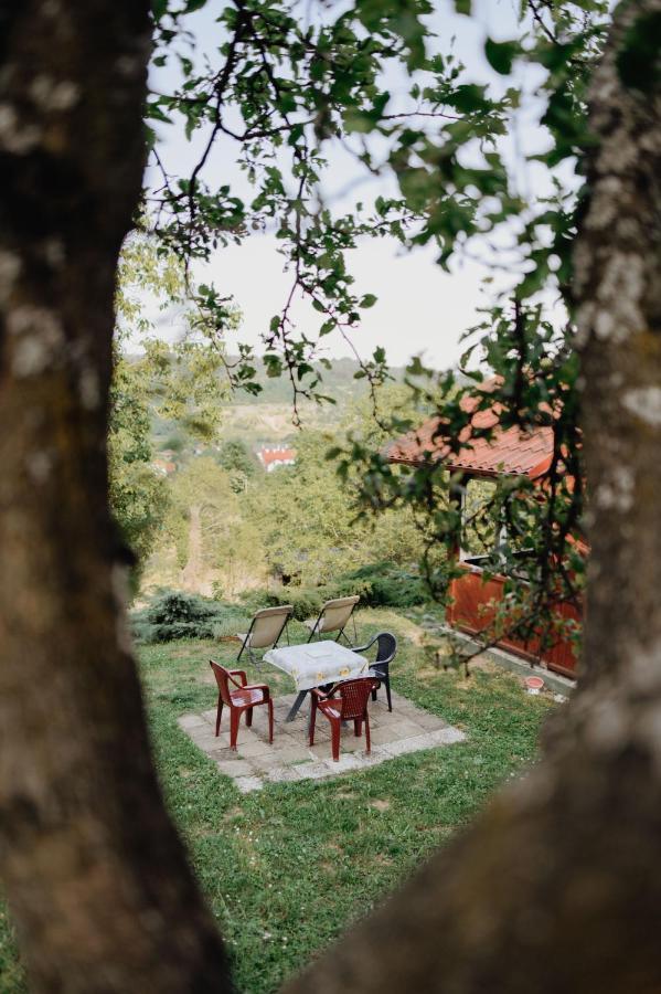 Holiday Home Nanin Konak 2 Vrdnik Εξωτερικό φωτογραφία