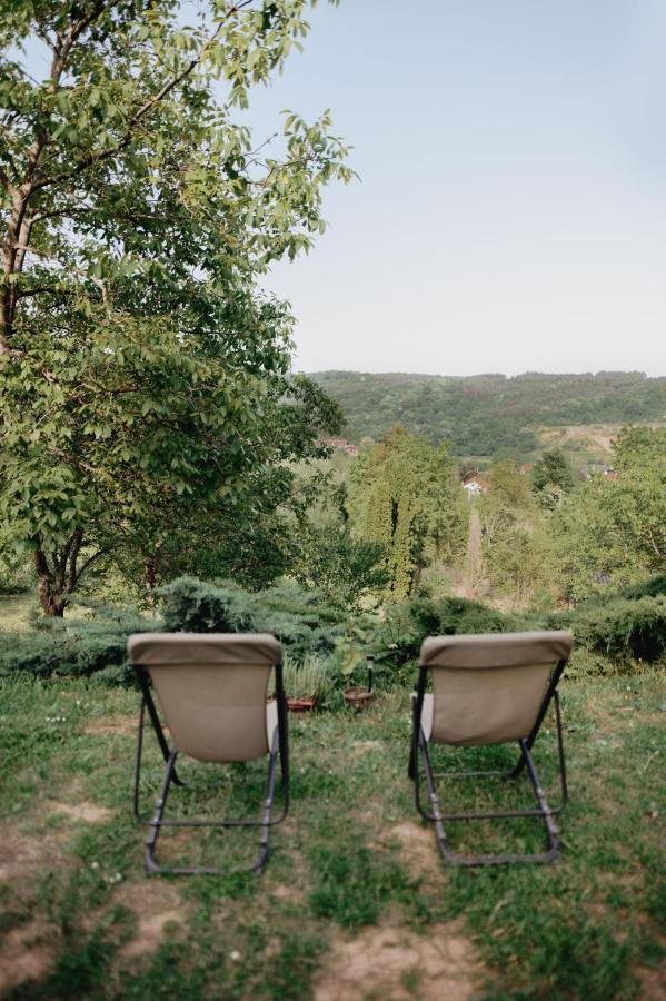 Holiday Home Nanin Konak 2 Vrdnik Εξωτερικό φωτογραφία