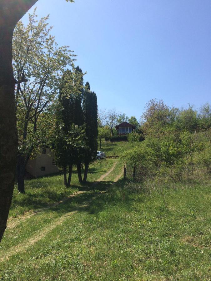 Holiday Home Nanin Konak 2 Vrdnik Εξωτερικό φωτογραφία