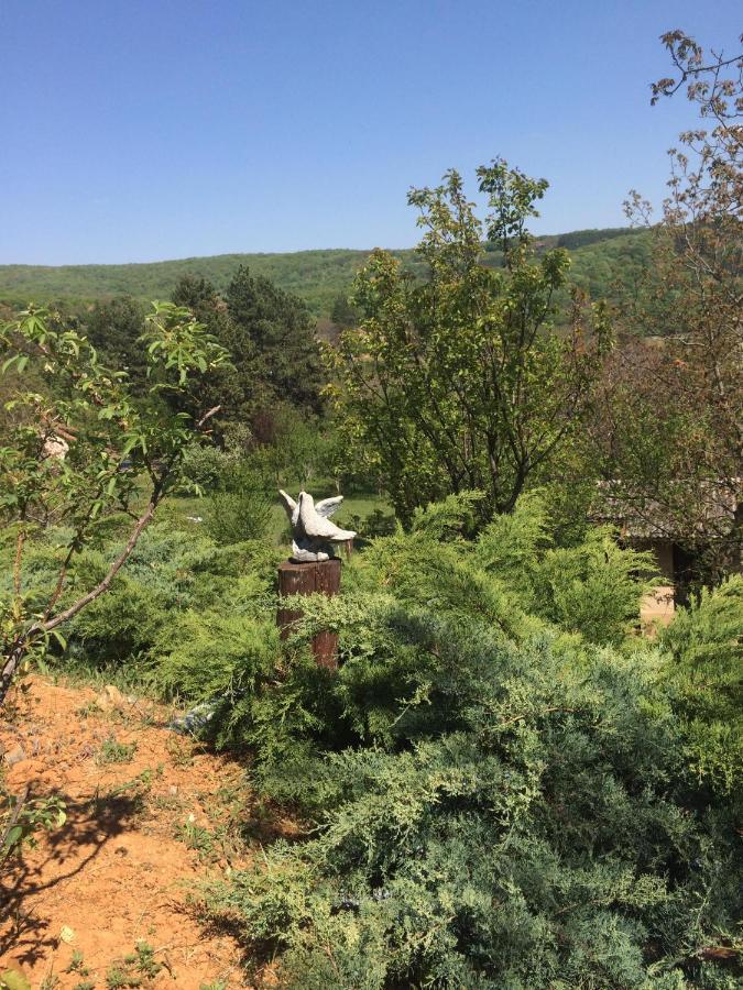 Holiday Home Nanin Konak 2 Vrdnik Εξωτερικό φωτογραφία