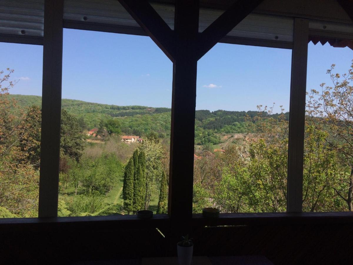 Holiday Home Nanin Konak 2 Vrdnik Εξωτερικό φωτογραφία